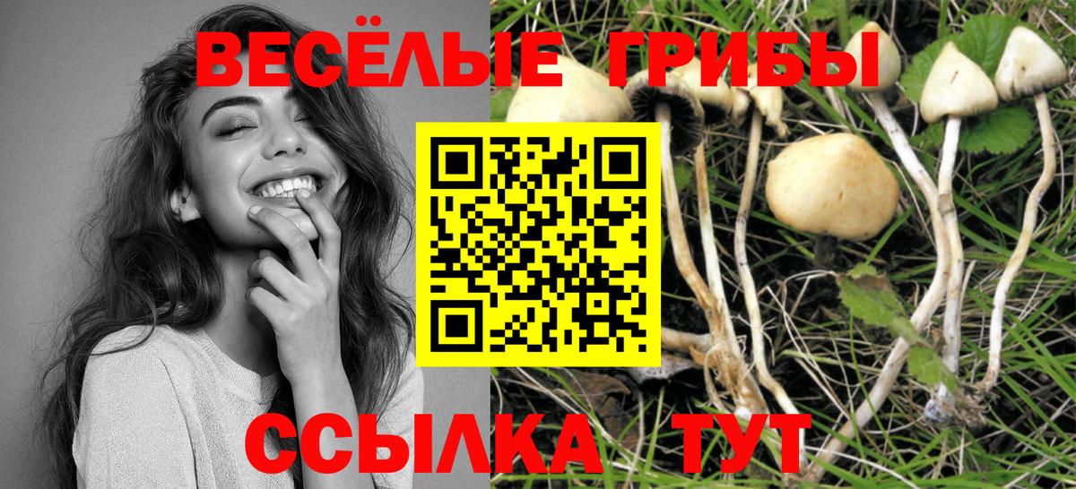 Галлюциногенные грибы мицелий Ачхой-Мартан