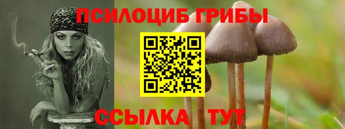 Псилоцибиновые грибы MAGIC MUSHROOMS  Вход с VPN  Ачхой-Мартан  Галлюциногенные грибы Psilocybe 